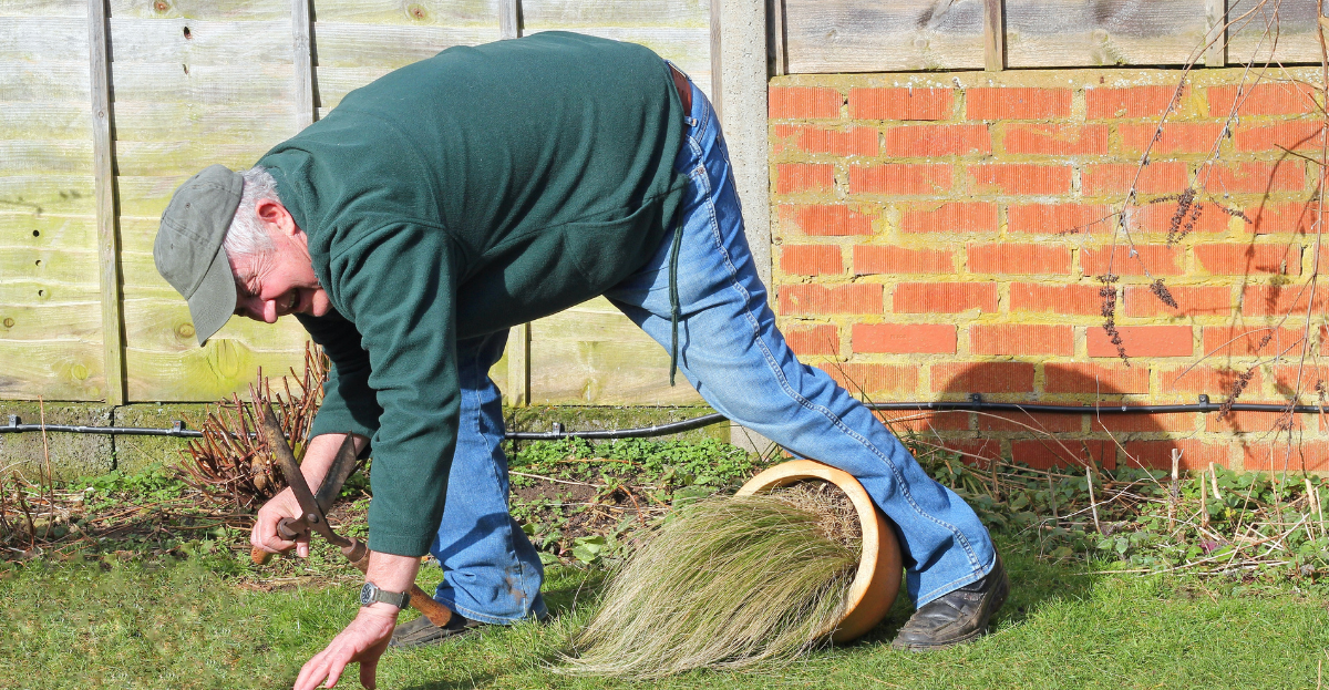 Mature man falling in garden